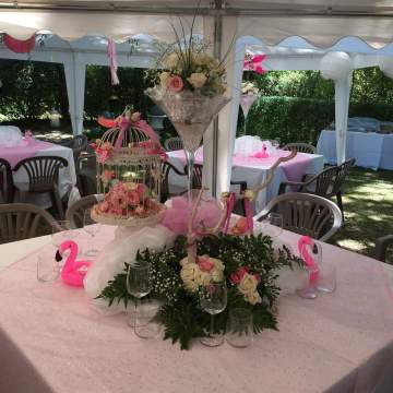Rental of a charming estate for Louise's baptism in Castres